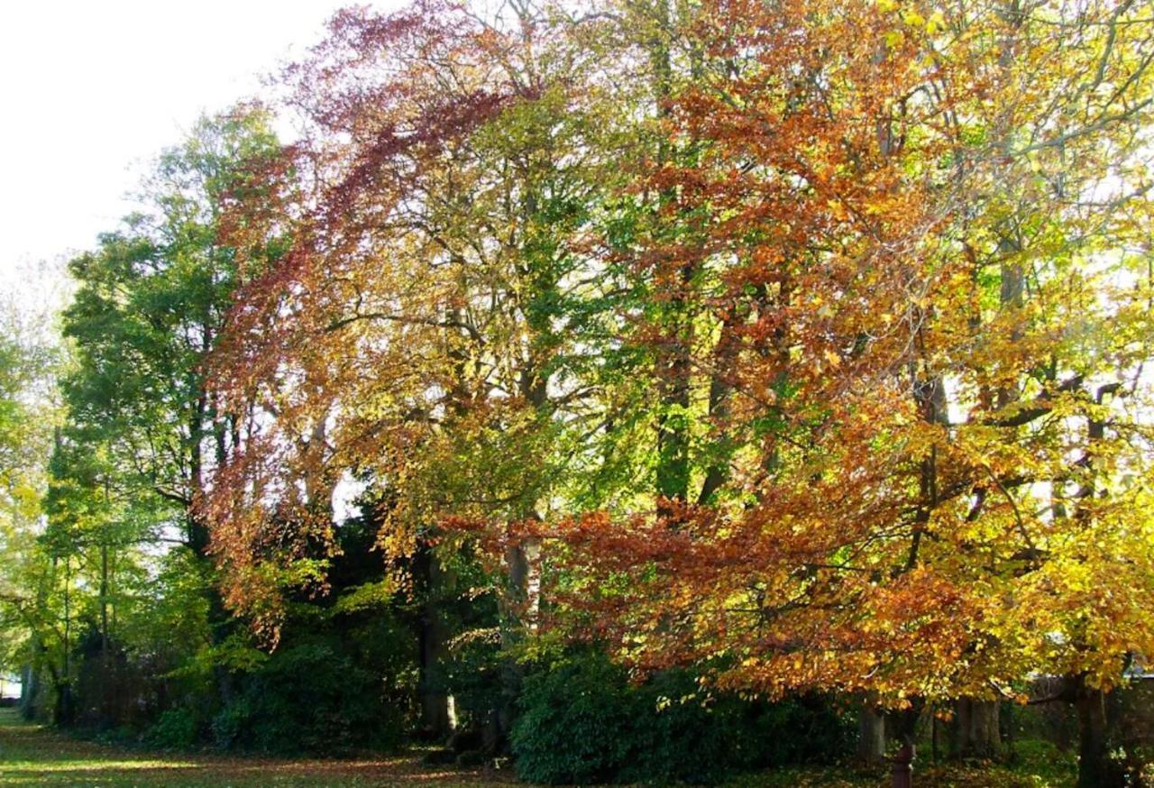Maison Charmante A Ryes Avec Jardin Clos Et Acces Pmr Exteriör bild